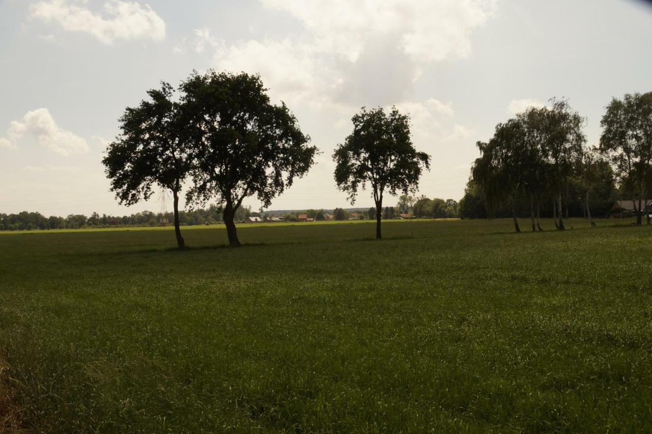 Kampenhof Villa Maaseik Buitenkant foto