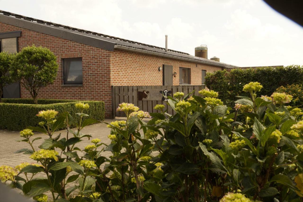 Kampenhof Villa Maaseik Buitenkant foto